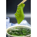 Delicious Seafood Stem Dried Seaweed Wakame